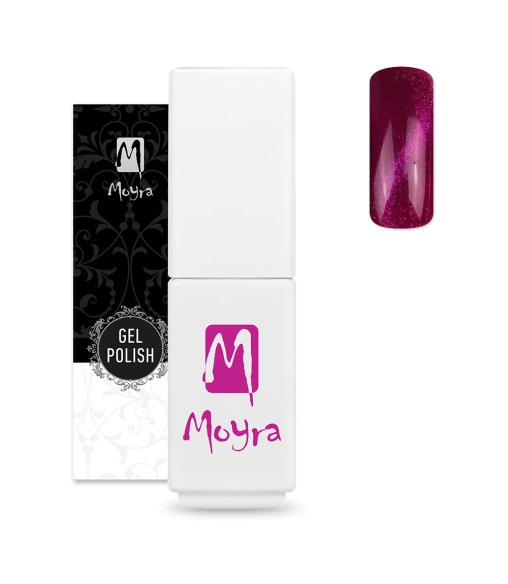 copia de new 2